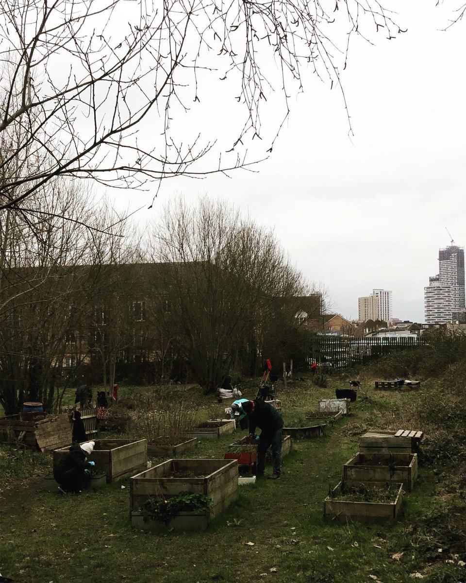 AddiscombeRWPFriends tweet media