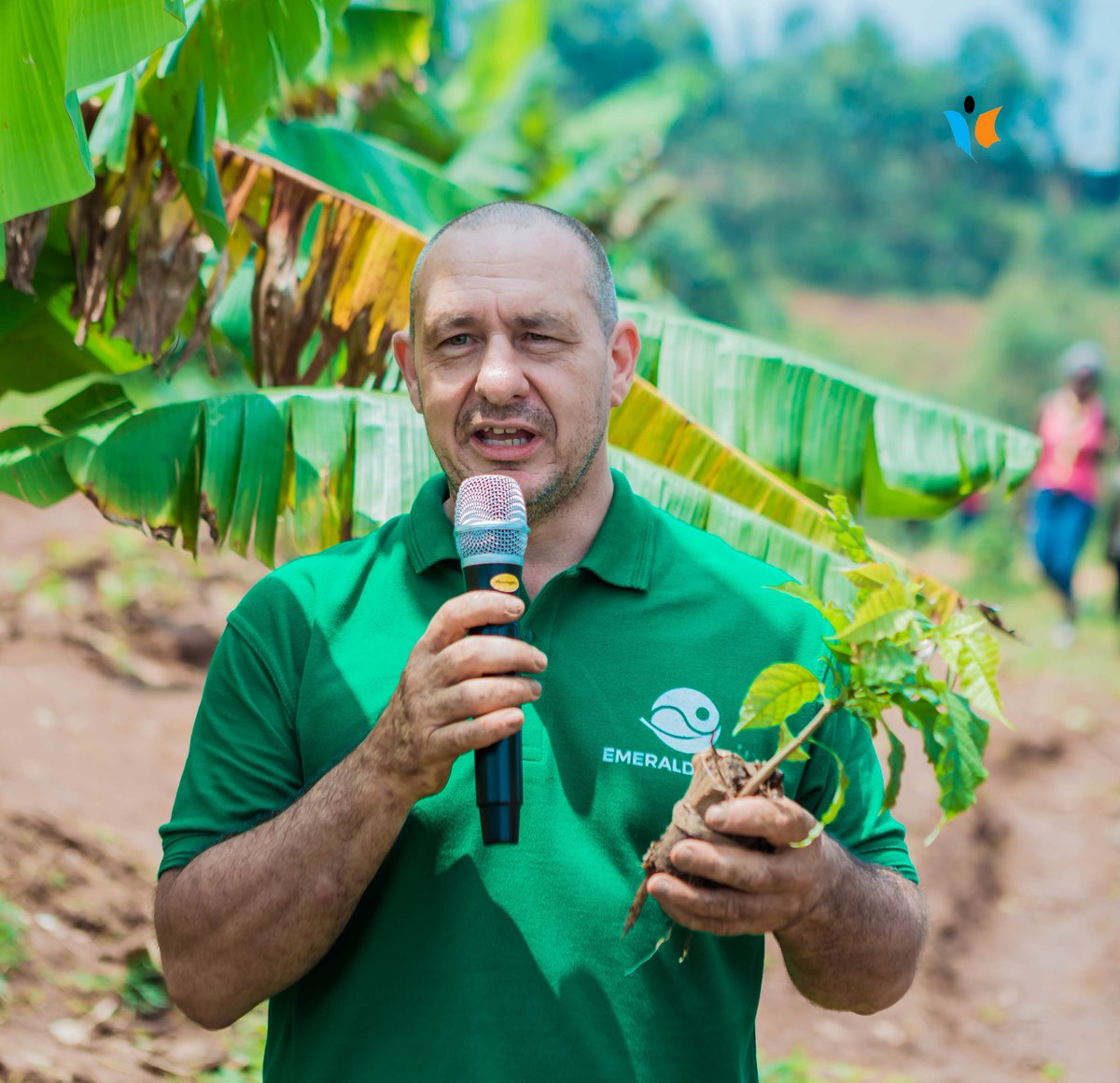 Ni_Babandi's tweet photo. 🙏 Un grand merci à Mark Feltrin à la tête du projet "Emerald plan", derrière la multiplication de ces plants d'arbres
👋 Merci aux autorités de la commune #Kanyosha pour leur implication dans la protection de l'envirronement.
💚 #Babandi barahimbawe
#Burundi https://t.co/2mL1ZkjD98