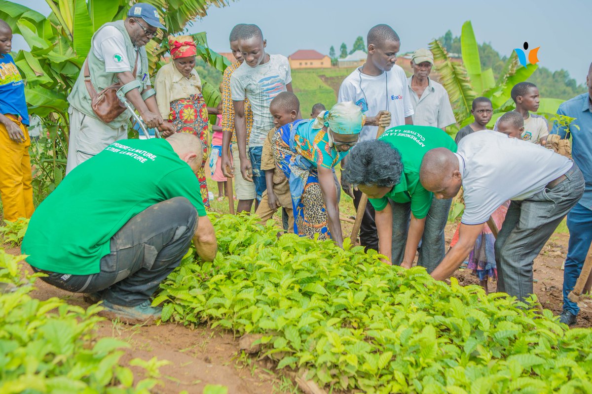 Ni_Babandi's tweet photo. 🙏 Un grand merci à Mark Feltrin à la tête du projet "Emerald plan", derrière la multiplication de ces plants d'arbres
👋 Merci aux autorités de la commune #Kanyosha pour leur implication dans la protection de l'envirronement.
💚 #Babandi barahimbawe
#Burundi https://t.co/2mL1ZkjD98