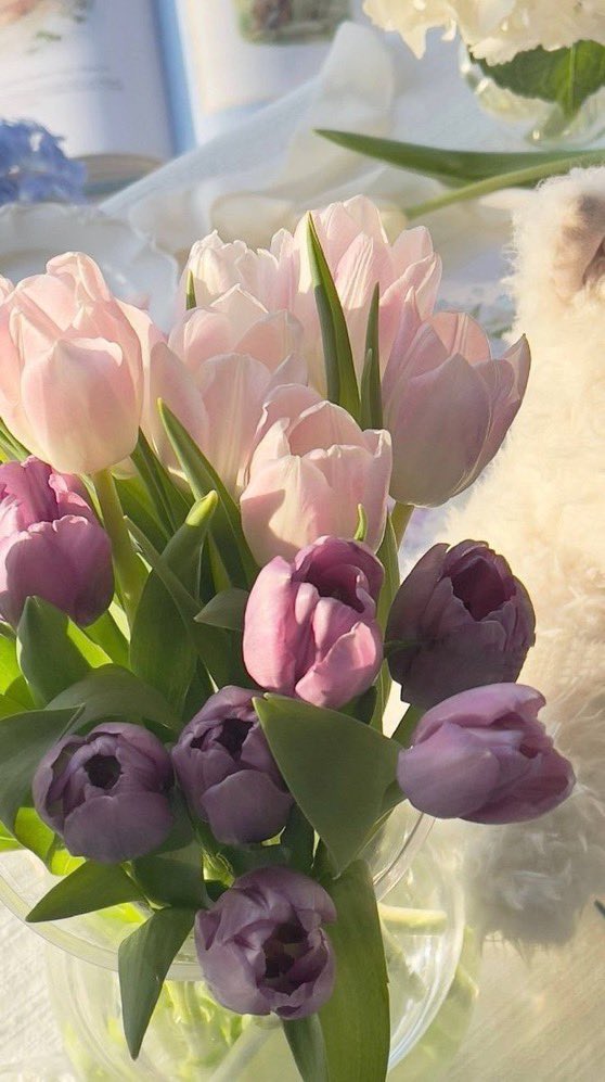 SelectVibes's tweet photo. Flowers https://t.co/TjrTva1pto