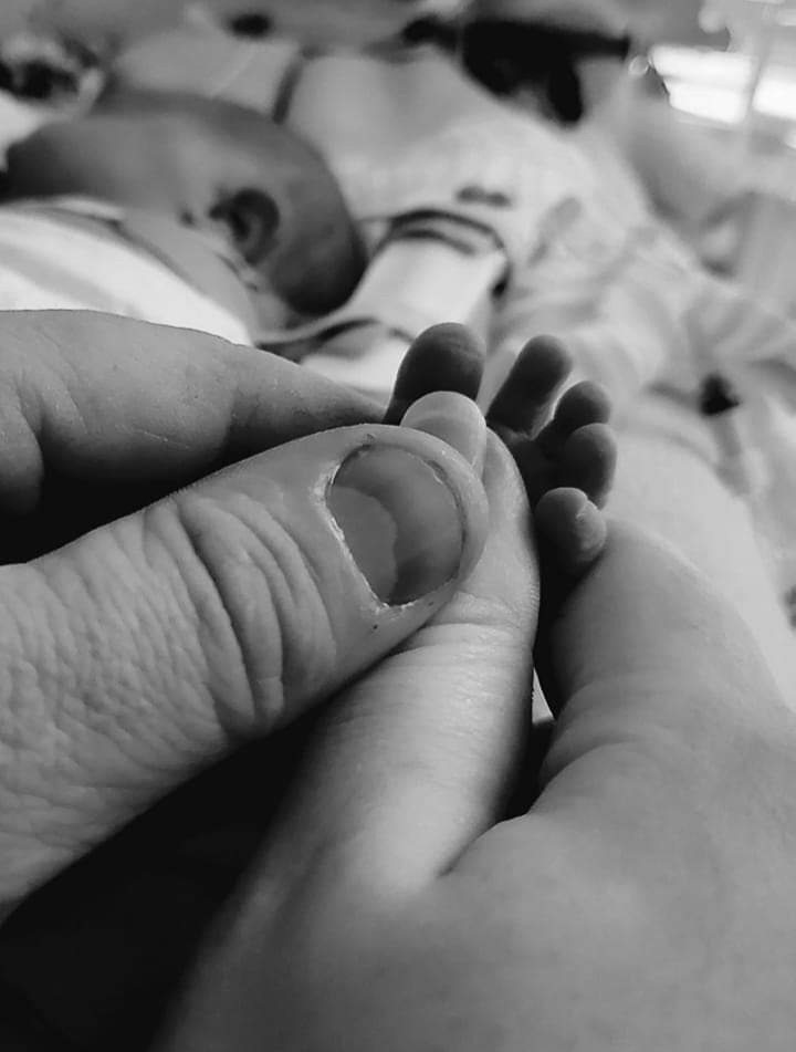 Tara Okon tweet media