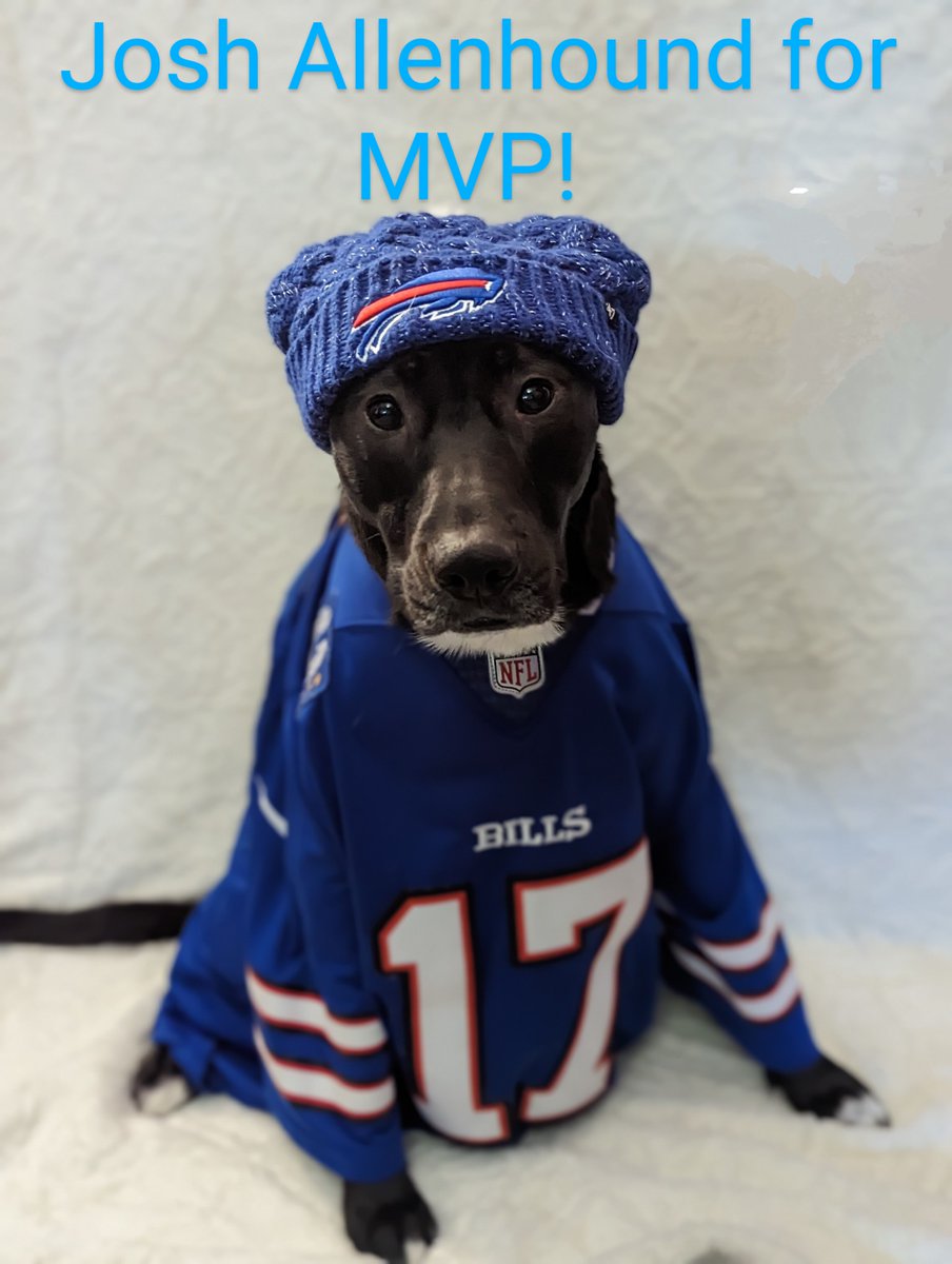 #PuppyBowl #joshallenhound