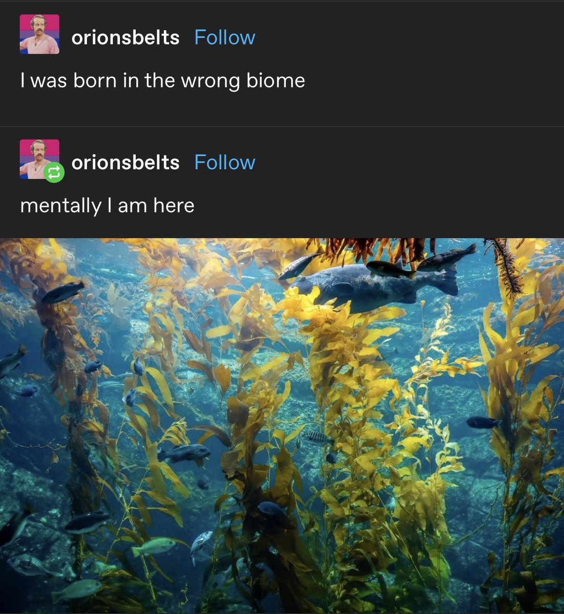 tbh !