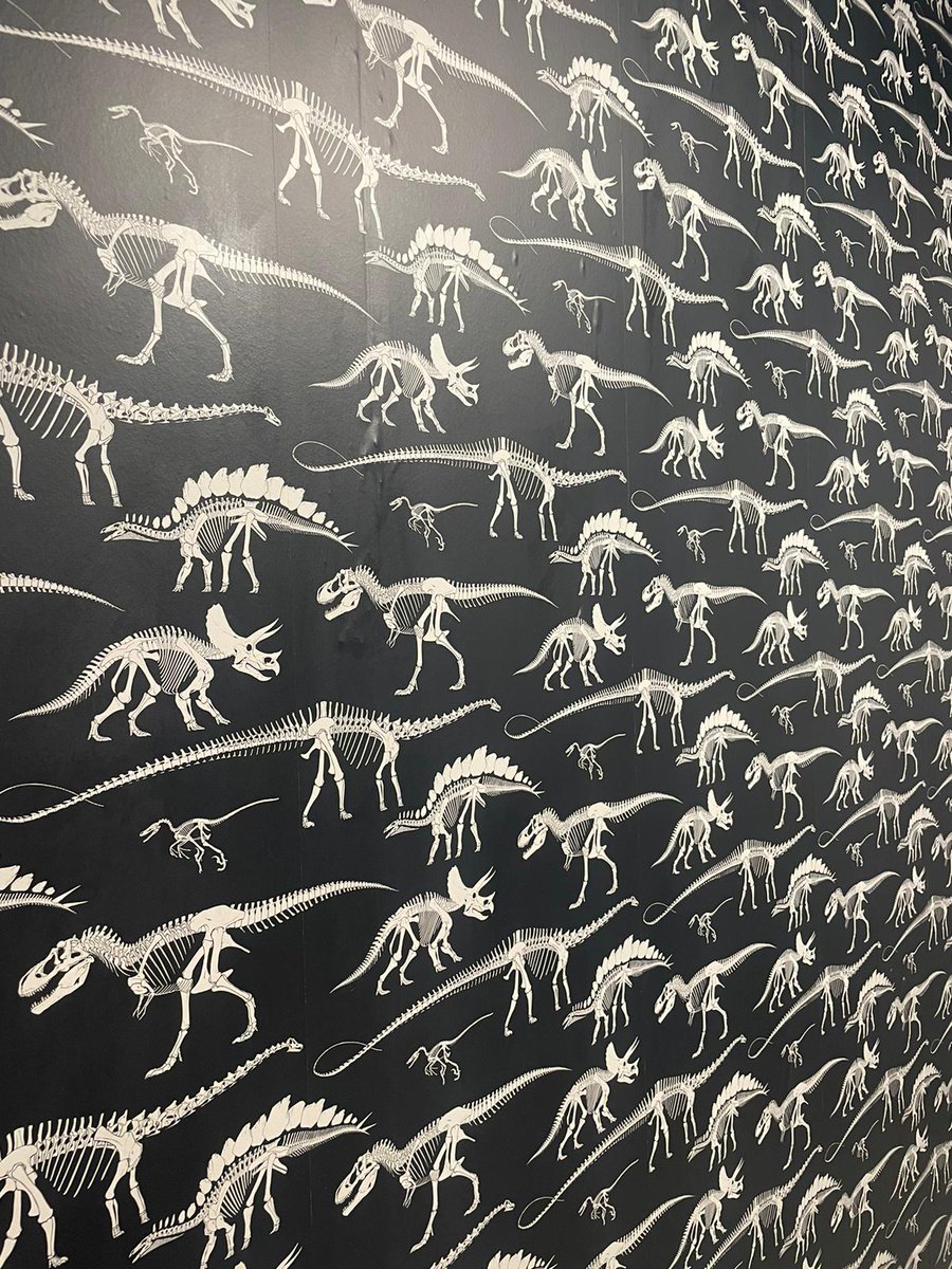 Our new stop-motion animation studio is underway! We've got our priorities right with this dinosaur wallpaper too. What do you think? 👀