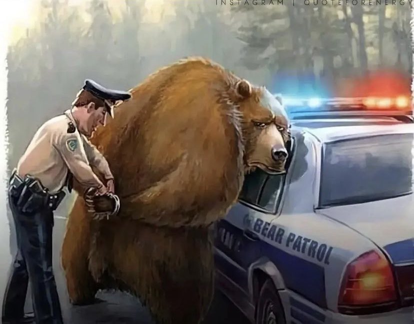 We finally caught this "bear" guy
Bear market is over ? 🤣
#bitcoin 👑
#BTC 
#SundayFun