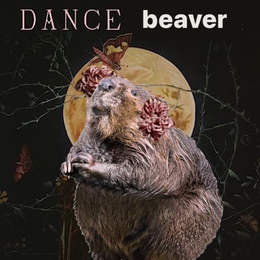 theo (@al4pathy) on Twitter photo 