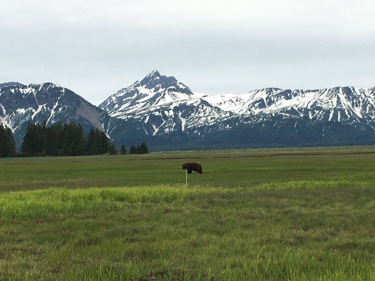 Justin Pinero tweet media