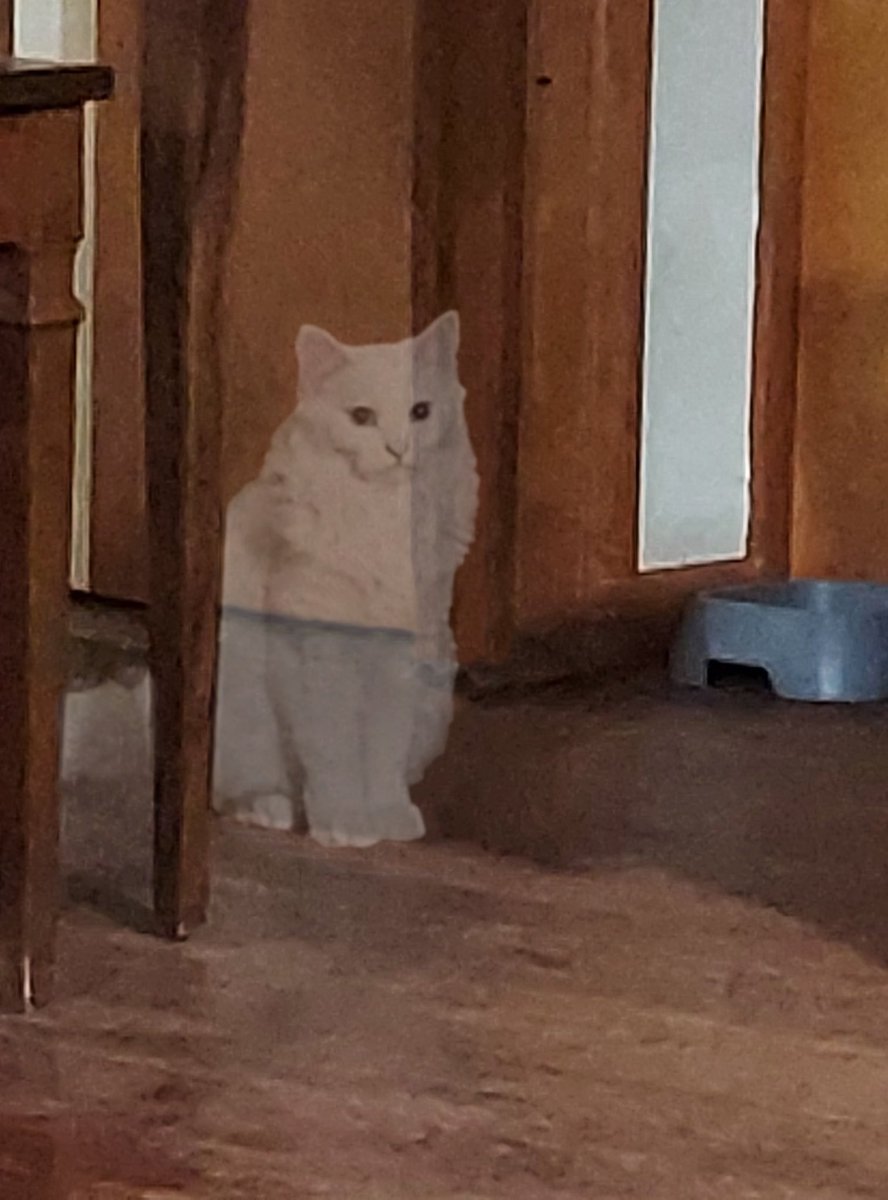 short Huey/Long jacket tweet media