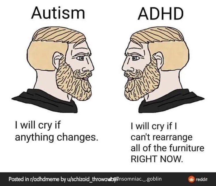 GothGirlTay's tweet photo. Autism vs ADHD 

me who is auDHD:😭😭😭 https://t.co/WT1CbB8NRb