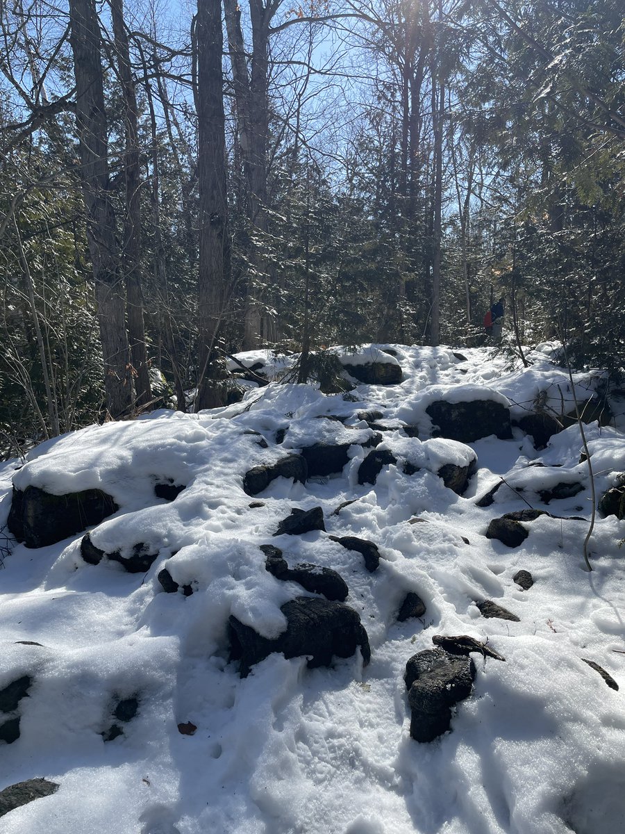BrooksBrooksel's tweet photo. Back on the Bruce @TO_Bruce_Trail 🥾🌲 https://t.co/Sl4fqCm8hk