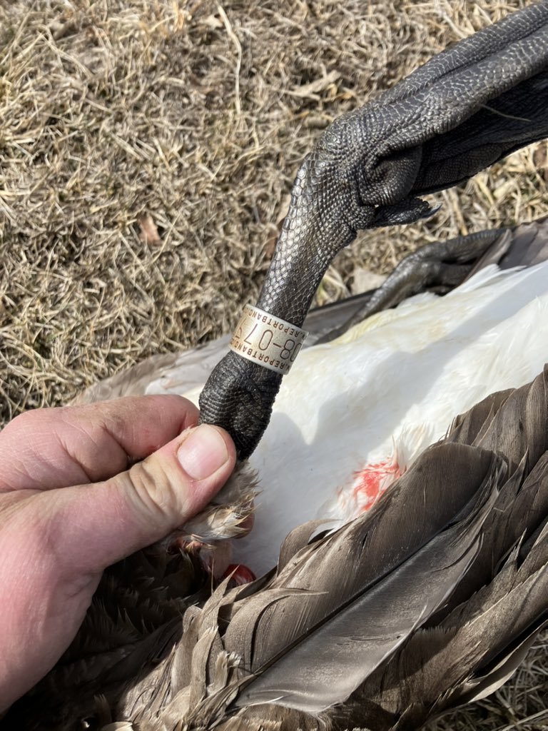 HRouse13's tweet photo. Had a fun couple of days with dad and a couple buddies closing out the last weekend of season with a bang! https://t.co/31z1S7pYDg