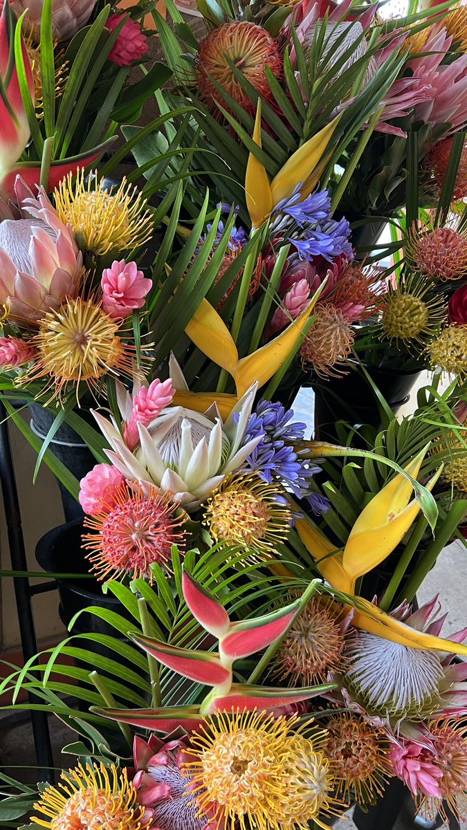 Bouquets for sale. #tropical #heliconia #protea #ginger #palm #floralArrangement #flowerreport