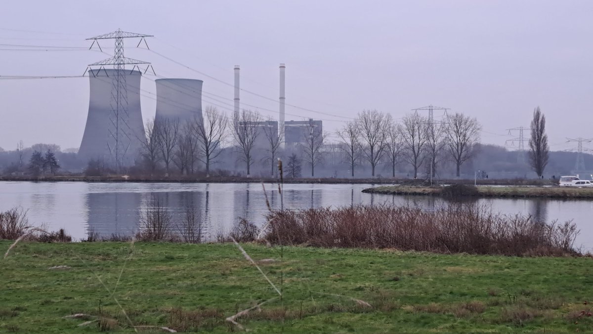 RoelZuidhof's tweet photo. Mooi wandelgebied #maasplassen #wessem en net verwoede bosarbeider gemist #bever https://t.co/F10O6HioGH