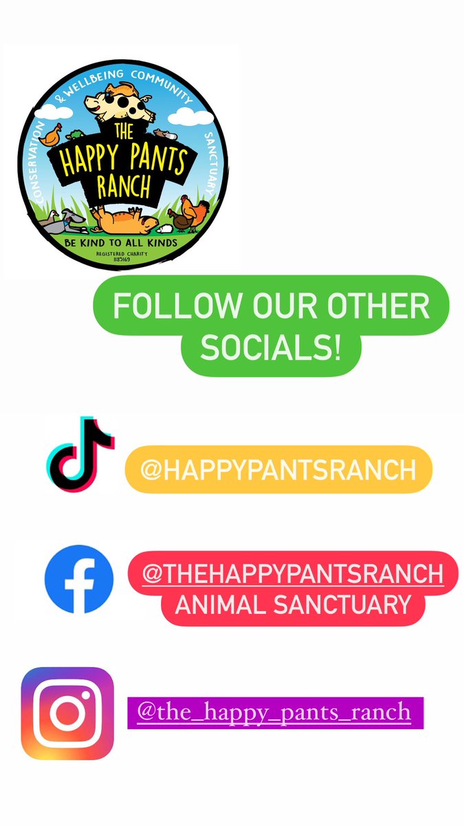 Follow our other socials!🐮💛