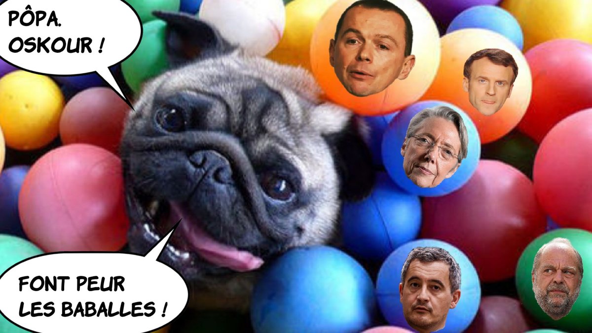 ALIXB15's tweet image. #SoutienThomasPortes 
#StopRetraiteMacron 
#ReformeDesRetraites