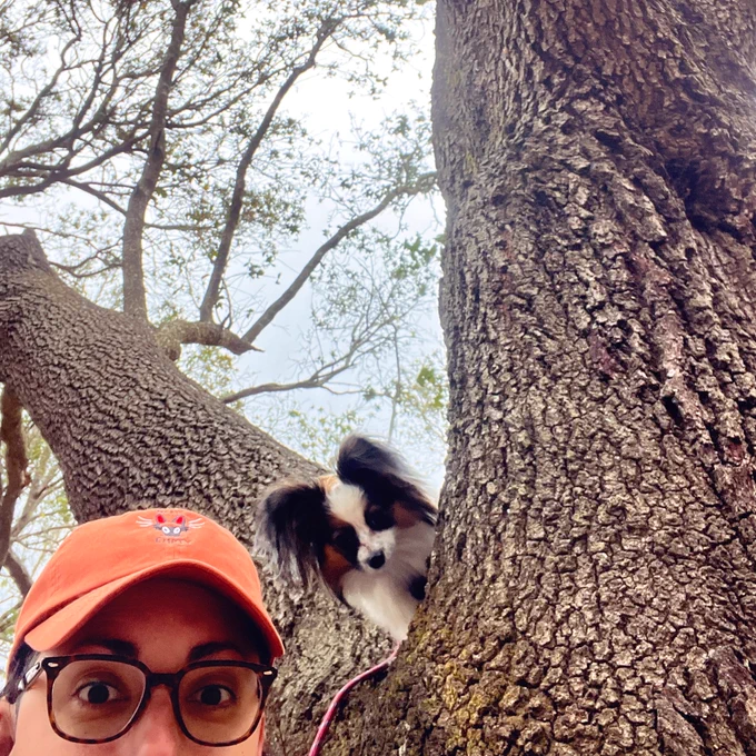 Tree dog  