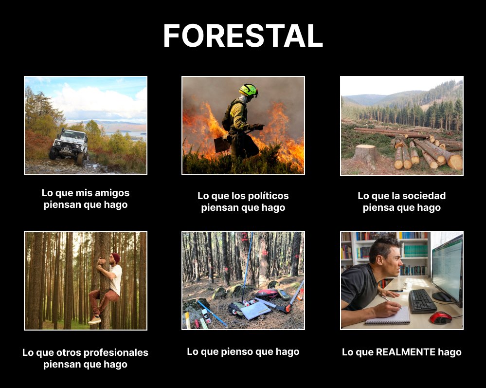 FenixCanarias's tweet photo. Lo que piensan VS lo que realmente hace un forestal 🌲 https://t.co/BAEaCeN5f9