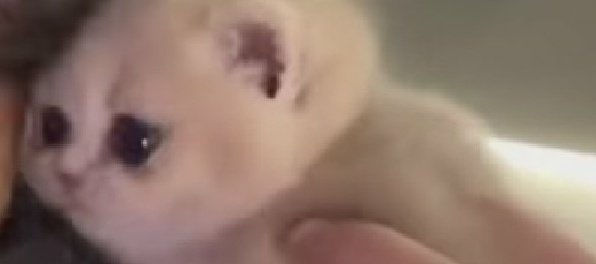 kyoongy506's tweet photo. اینقدر ب کتاب ییشینگ علاقه مند شدم ک کل روز میشستم خاطرات لی رو میخوندم ب جا کتاب درسی اخرش منع شدم از خوندنش ❤️‍🩹 

@layzhang https://t.co/z5Ldb7AiYi