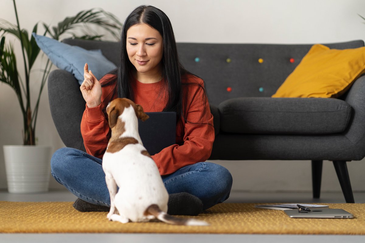 LOVING PETS AND WANTING TO EARN EXTRA INCOME? Steameup.com is looking for skilled and caring pet sitters! #petsitting #steameup #opportunity  #earnwhileyoucare #petsittingbusiness #steameup #JoinNow #earnmore #petsitting #petcareprovider #petservices #petloversph #pet