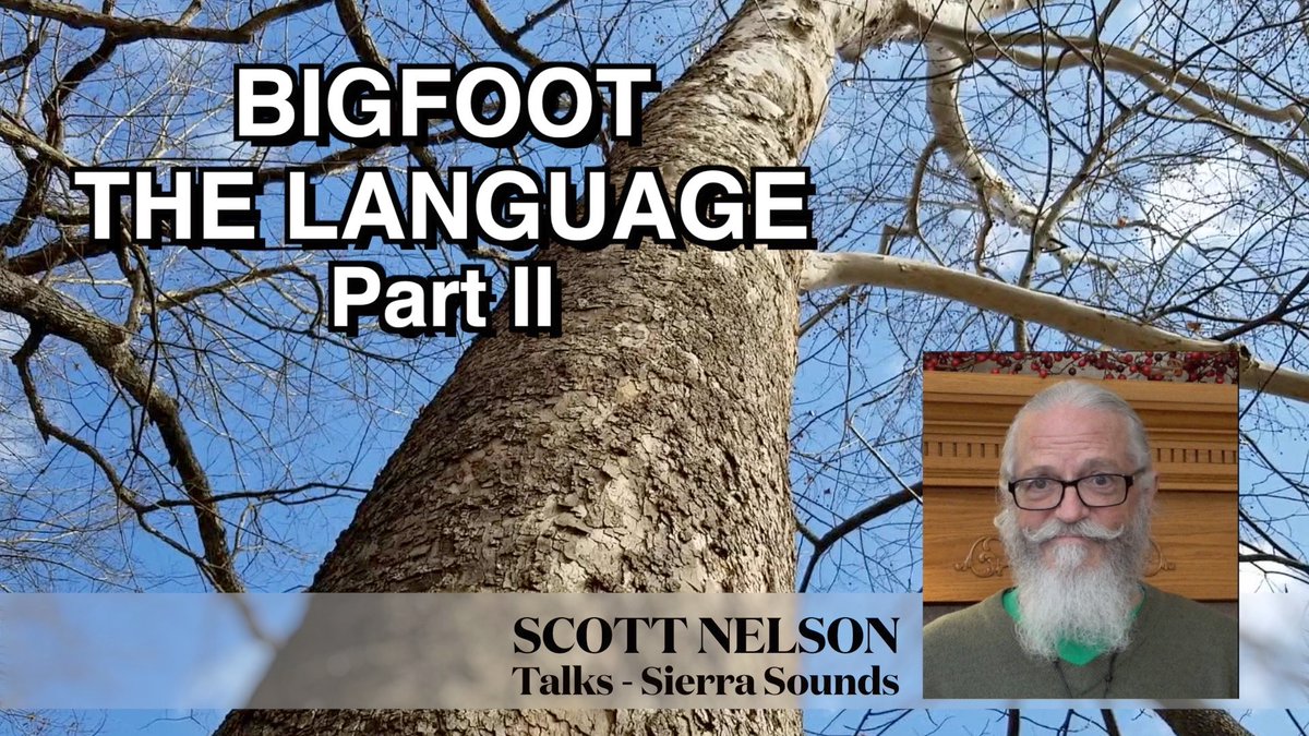 LindaEastburn's tweet image. Hear bigfoot speak.
#davidpaulides #jeffmuldrum #ronmorehead
youtube.com/watch?v=4haGx4…