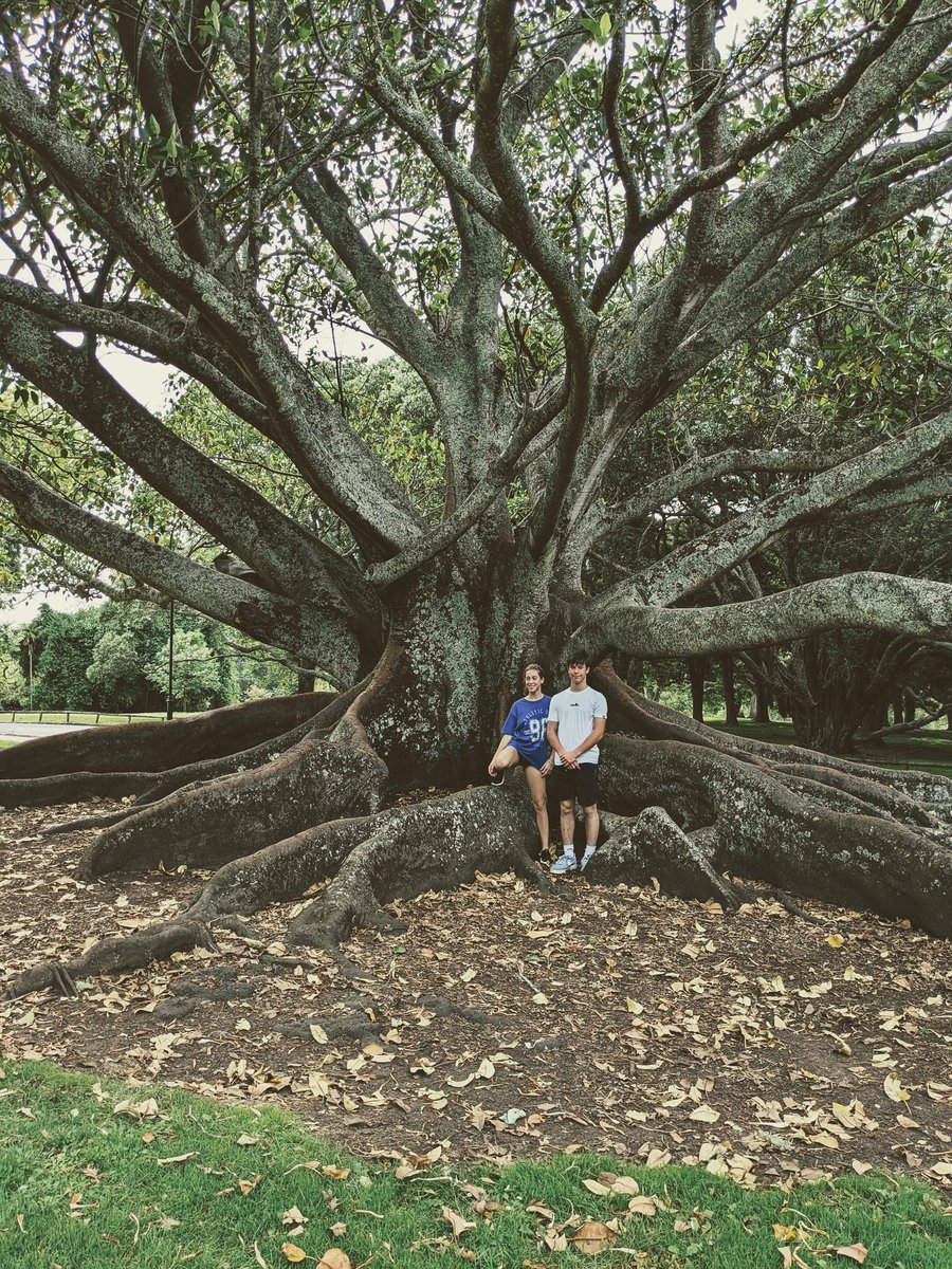 Jason Dupuis 🎾 tweet media