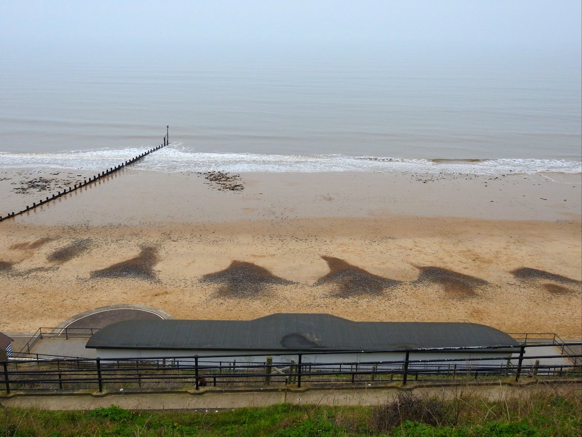 mildthing99's tweet photo. #BeachCusps on a managed coastline at Cromer, Norfolk...
Coastal features where waves sort beach material by size with finer sediment in 'bays'.
@StormHour @ThePhotoHour @metoffice #StormHour #loveukweather https://t.co/nycU8FZhbz