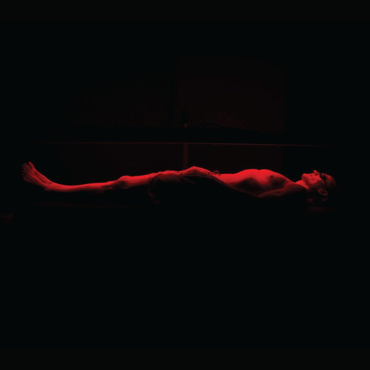 Bryan Johnson tweet media