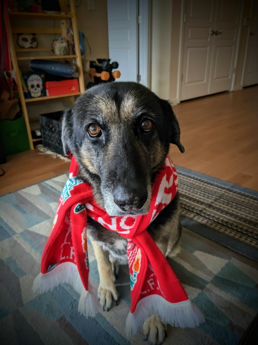 SammyDPhoto's tweet photo. @LFC https://t.co/unn5F9KosA