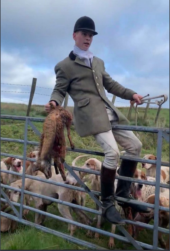 Horns and rackets to let you know,
we are the hunts, aristocratic class kunts.
Hear the hounds at our heels,
trained to hear a fox squeal.
Horns,  rackets and howling hounds,
feel the fear of the fox,
feel the fear, working class... 
#banfoxhunting