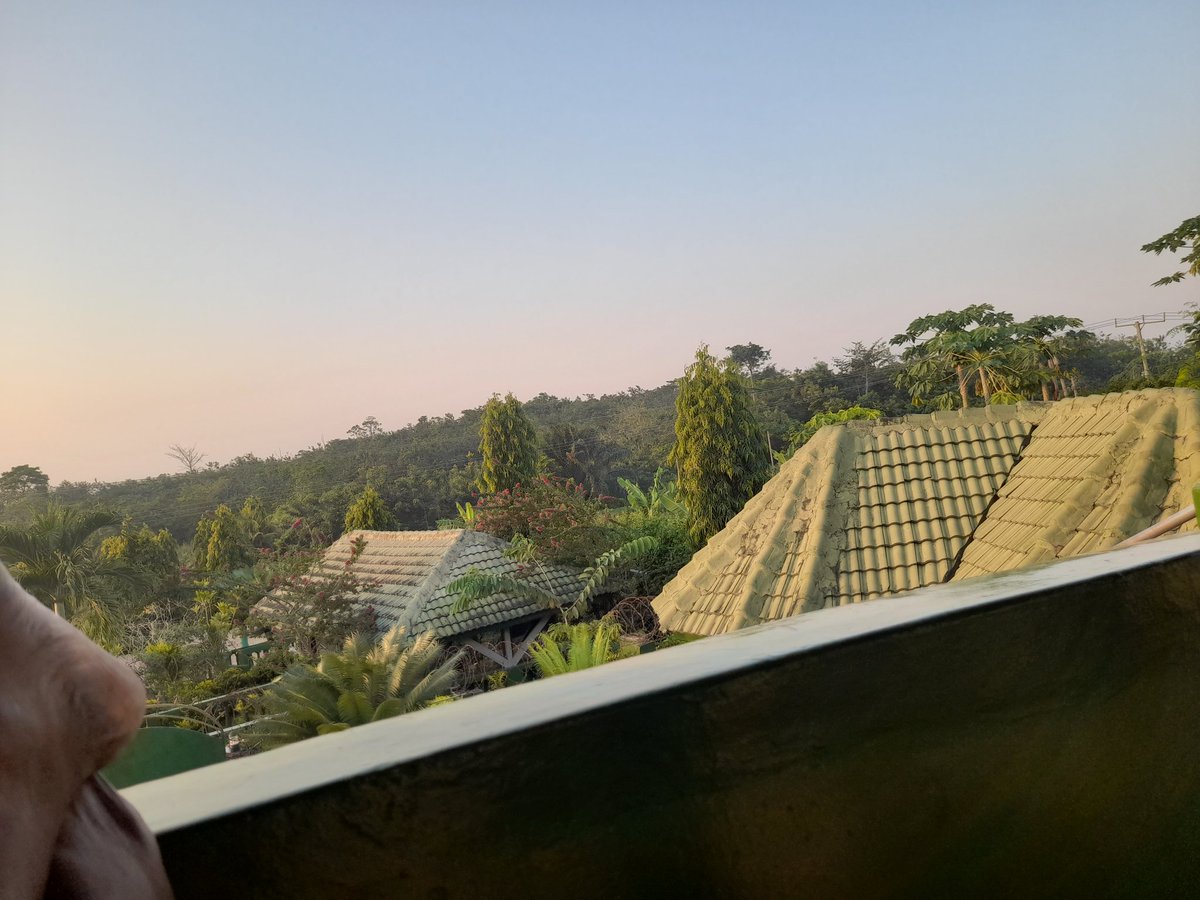 espeerantz's tweet image. #Holiday