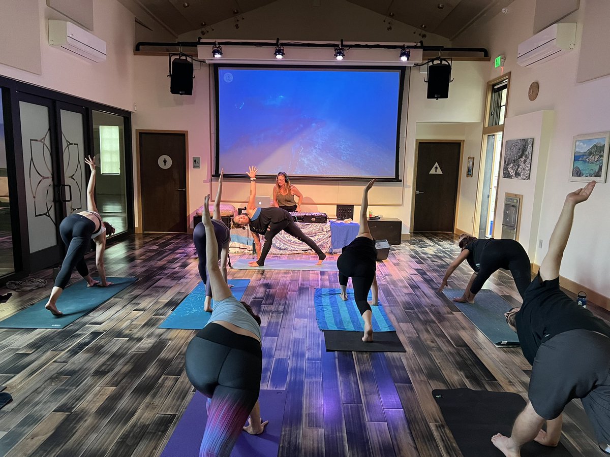 mtnlotusyoga's tweet image. Come BLOOM 🌸 with us! The Lotus Bloom is a monthly Vinyasa Flow Yoga Class at Mountain Lotus Yoga featuring local and regional DJs. Click the link in our bio to sign up!✨ #yogapractice #mountainlotusyoga #vinyasaflow #truckeeyoga #tahoeyoga