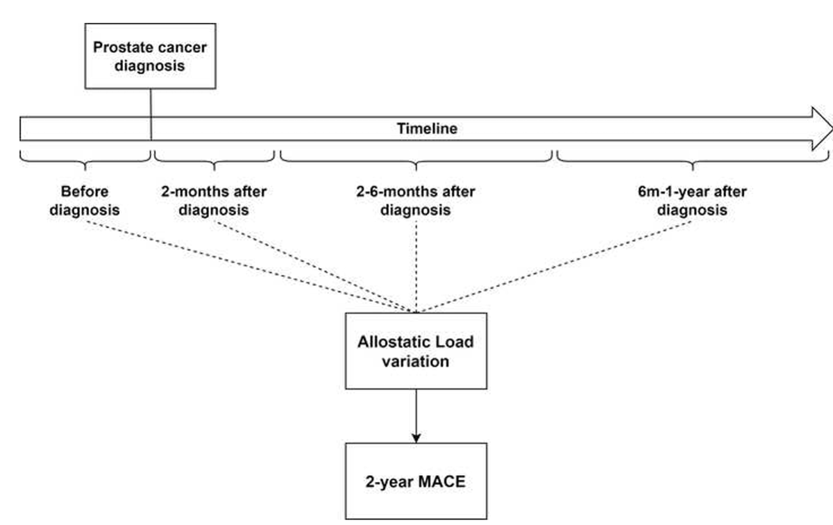 avirupguha's tweet photo. Details - Table 1 - MACE - 6.6%, ~24% NHB, 22-28% ADT use. We looked for time-varying exposure of AL - see study design below #cardioonc @neerajaiims @Drjcullen808 @MBittencourtMD @Real_DRJXM @LifenCao @RHarrisLab @datta_bk @GUONCGarciaJA @KristinWaite  3/ https://t.co/TCkYxabh6g