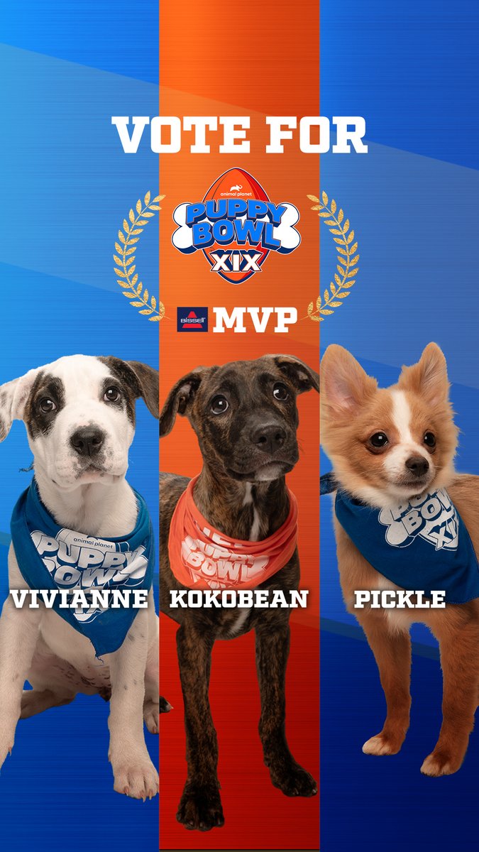 Animal Planet tweet media