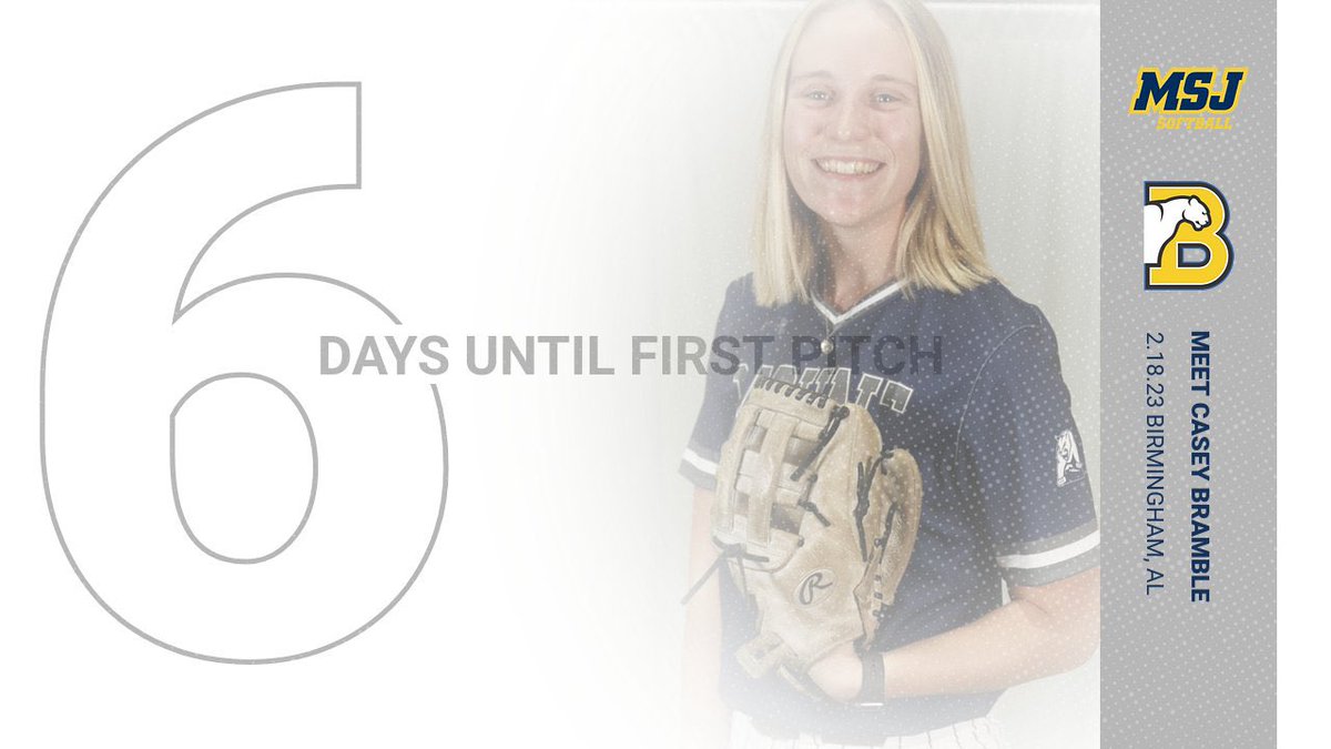 MSJ Softball tweet media