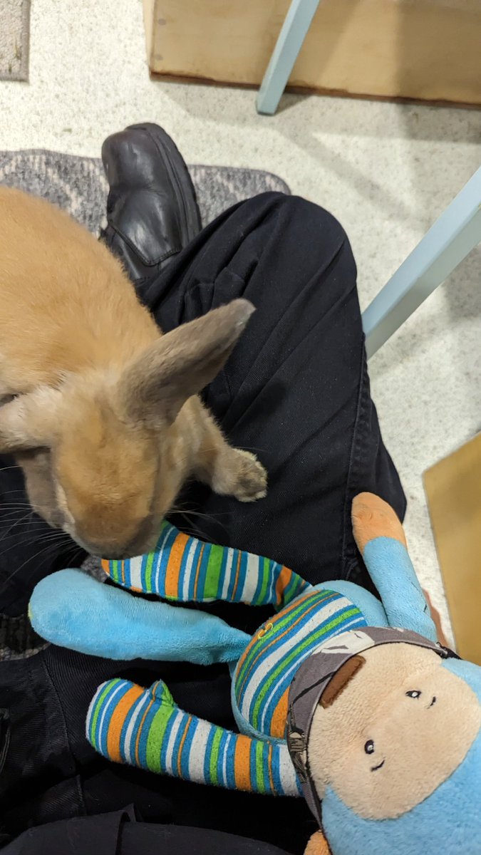 Murdoch Monkey tweet media