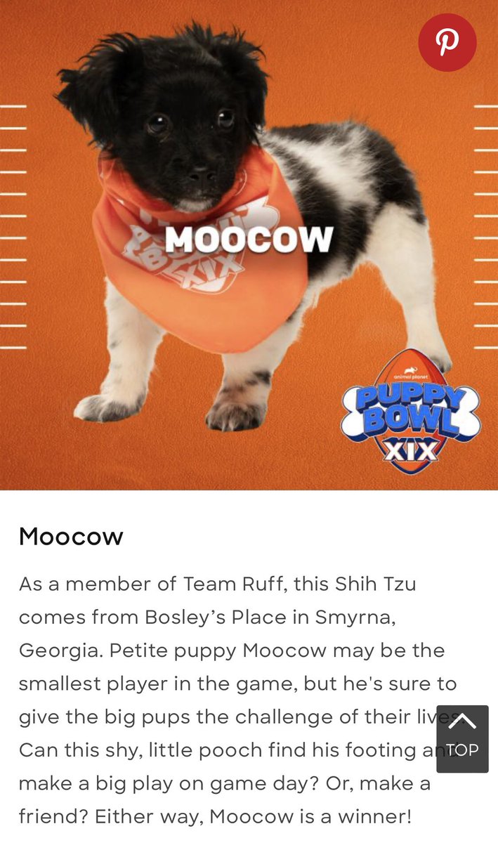 Every #PuppyBowl is great, but #Moocow makes #PuppyBowlXIX something special 🧡🐾🏈 #UnderdogAward