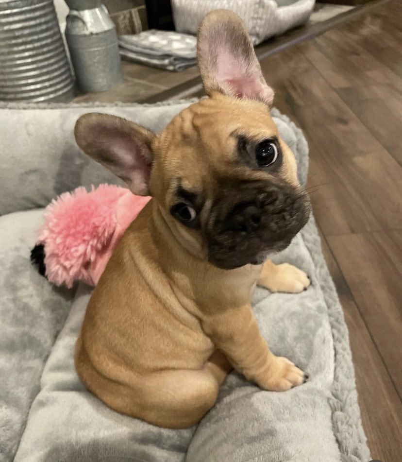 Steve Stein tweet media