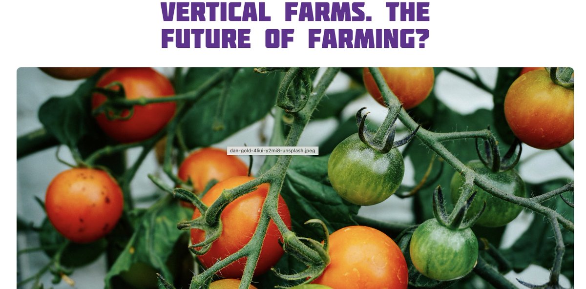 Antony Dodd (@ant_dodd) on Twitter photo Interested to learn more about vertical farming, and in the Norwich area? Join us <a href="/NorwichSciFest/">Norwich Science Festival</a> for a panel discussion on 15 February, with me, <a href="/Kroon_Lab/">Kroon Lab</a> <a href="/Vertical_Future/">Vertical Future</a> <a href="/LettUsGrow/">LettUs Grow</a> <a href="/AponicUK/">Aponic Vertical Aeroponic Farms</a> @thepiercy <a href="/TheQuadram/">Quadram Institute</a> <a href="/JohnInnesCentre/">John Innes Centre</a> more info➡️ norwichsciencefestival.co.uk/whats-on/verti… Interested to learn more about vertical farming, and in the Norwich area? Join us <a href="/NorwichSciFest/">Norwich Science Festival</a> for a panel discussion on 15 February, with me, <a href="/Kroon_Lab/">Kroon Lab</a> <a href="/Vertical_Future/">Vertical Future</a> <a href="/LettUsGrow/">LettUs Grow</a> <a href="/AponicUK/">Aponic Vertical Aeroponic Farms</a> @thepiercy <a href="/TheQuadram/">Quadram Institute</a> <a href="/JohnInnesCentre/">John Innes Centre</a> more info➡️ norwichsciencefestival.co.uk/whats-on/verti…