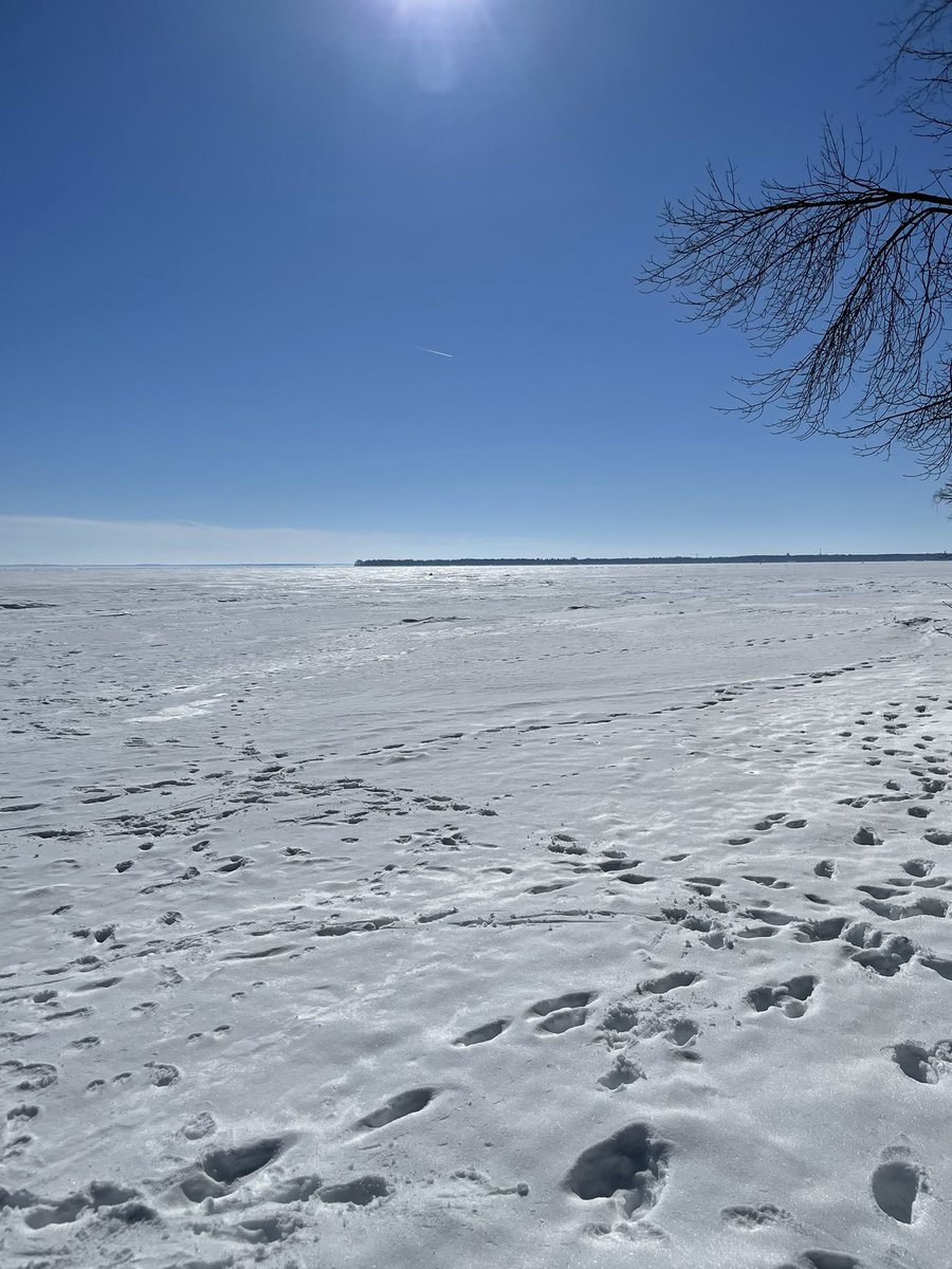 CalabrettaJenn's tweet photo. Beautiful day to get outside https://t.co/8V0gtkuIwj