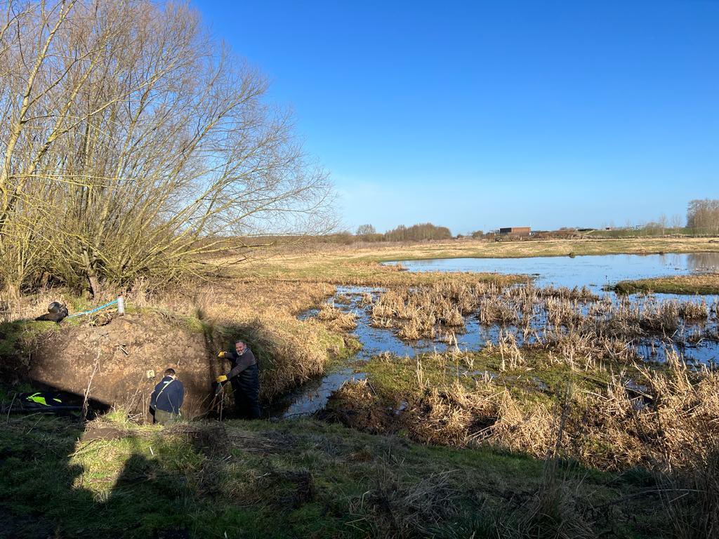 tophilllow (@tophilllow) on Twitter photo A few sneaky peaks of the ongoing refurbishment of Flt Sgt Angus McBean hide over the last week with <a href="/Gilleardbrosltd/">Gilleard Bros Ltd</a> ready for reopening later this season. Volunteers interplanting trees from the <a href="/EnvAgencyYNE/">Environment Agency - Yorkshire & North East</a> to establish diverse wet woodlands and prepping the kingfisher bank A few sneaky peaks of the ongoing refurbishment of Flt Sgt Angus McBean hide over the last week with <a href="/Gilleardbrosltd/">Gilleard Bros Ltd</a> ready for reopening later this season. Volunteers interplanting trees from the <a href="/EnvAgencyYNE/">Environment Agency - Yorkshire & North East</a> to establish diverse wet woodlands and prepping the kingfisher bank