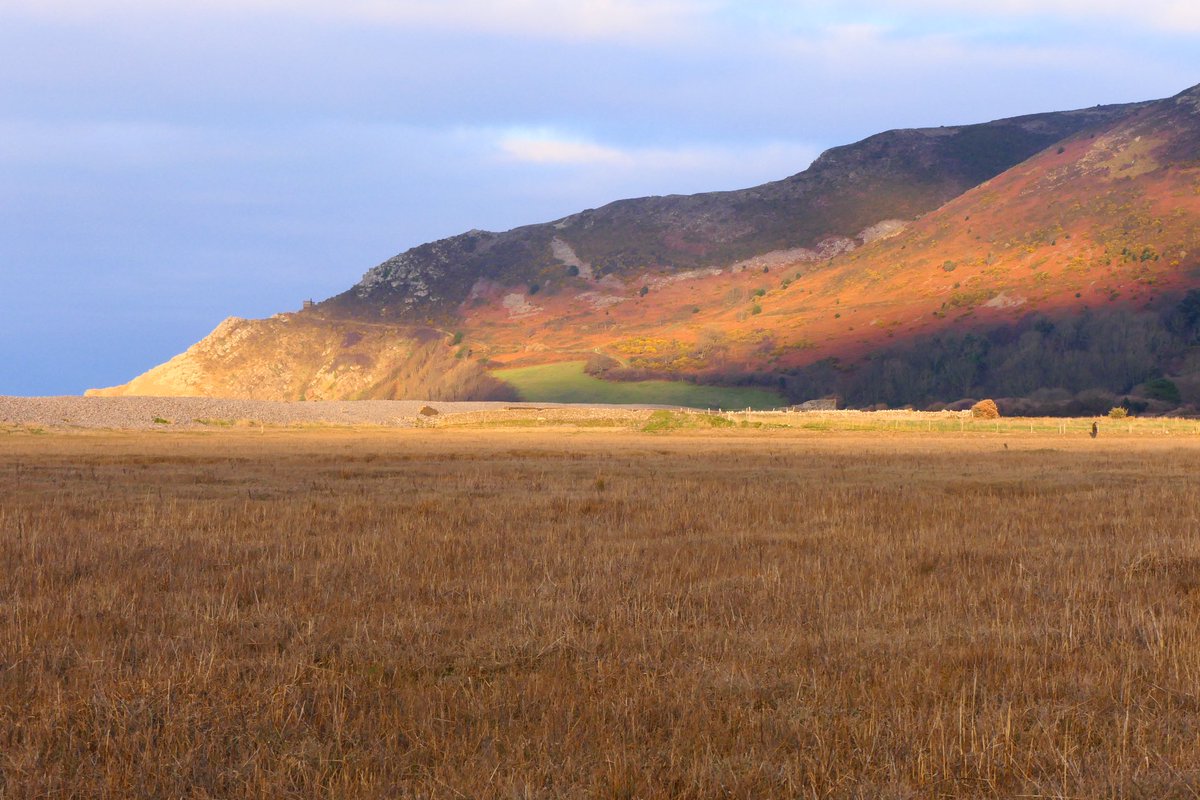 SusanLocke7's tweet photo. Last glimpses of sun this afternoon towards #HurlstonePoint #porlockmarsh @Porlockcoast1 https://t.co/9u8I5Uw7NI