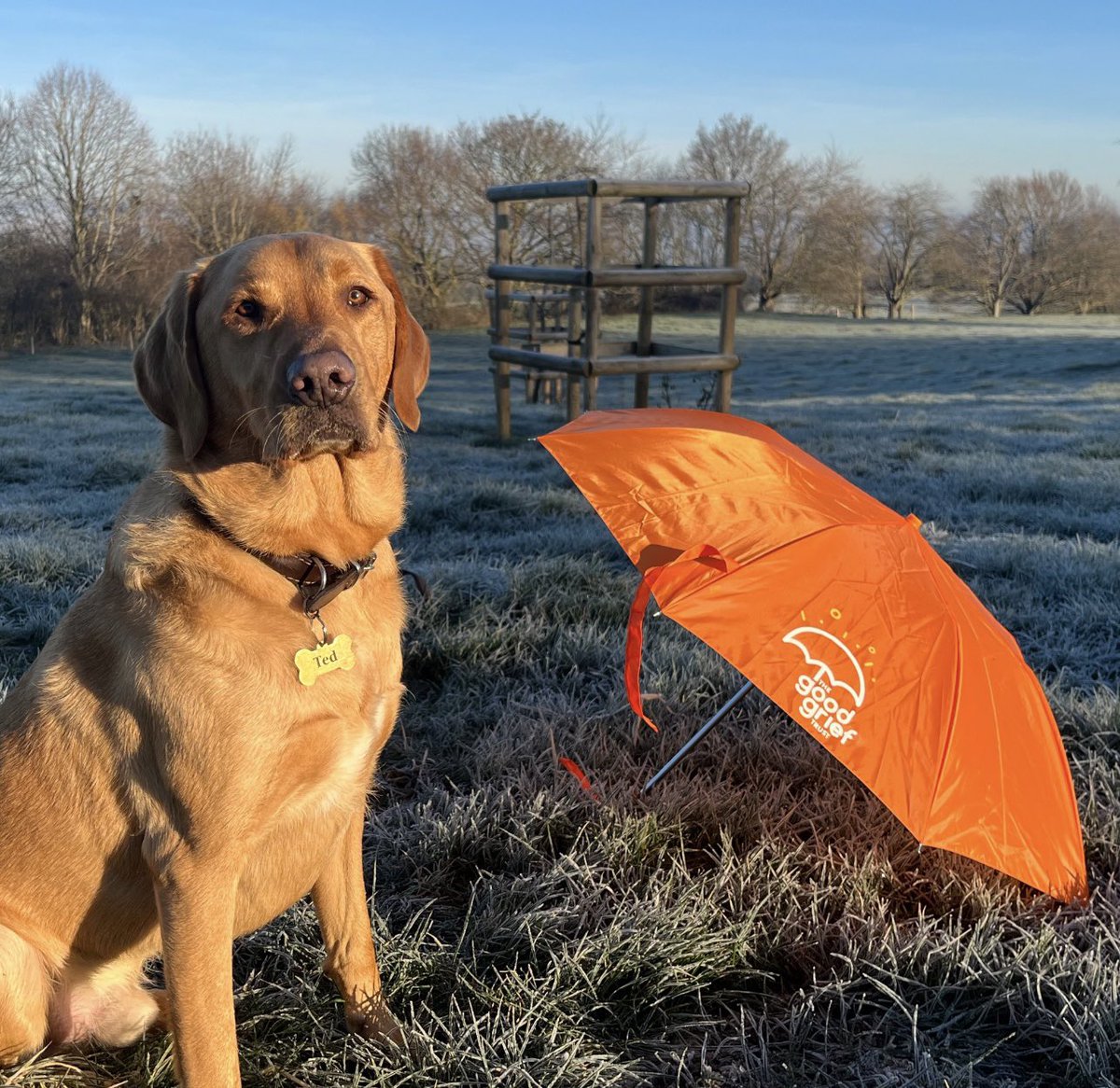 The Good Grief Trust tweet media