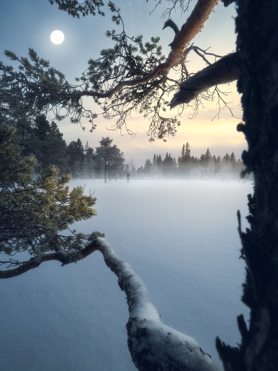Winter Wonderland.
Beautiful afternoon yesterday in the local forest. 
#norway #winter