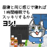 ちゃんと布団で寝よう!仮眠しか取れない現場猫さん!