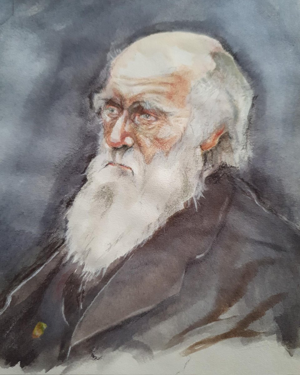 heeltool's tweet photo. #DarwinDay https://t.co/ngCwi5z1eB