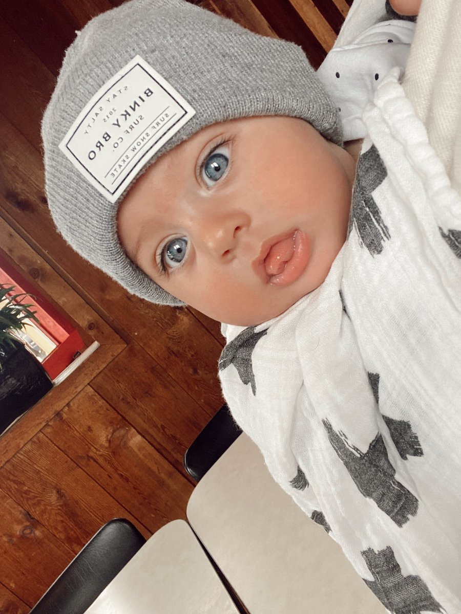 AllieDeBerry's tweet photo. Beaux Diesel is 20 weeks today ⚡️🖤 he is a riot + so much fun!! @TylerBeede https://t.co/g0xO2yPAMc