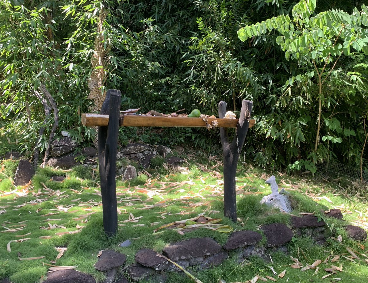 de_mortillet's tweet photo. Balade dans la vallée de la Hamuta #Pirae #Tahiti https://t.co/sgze0E2aHf