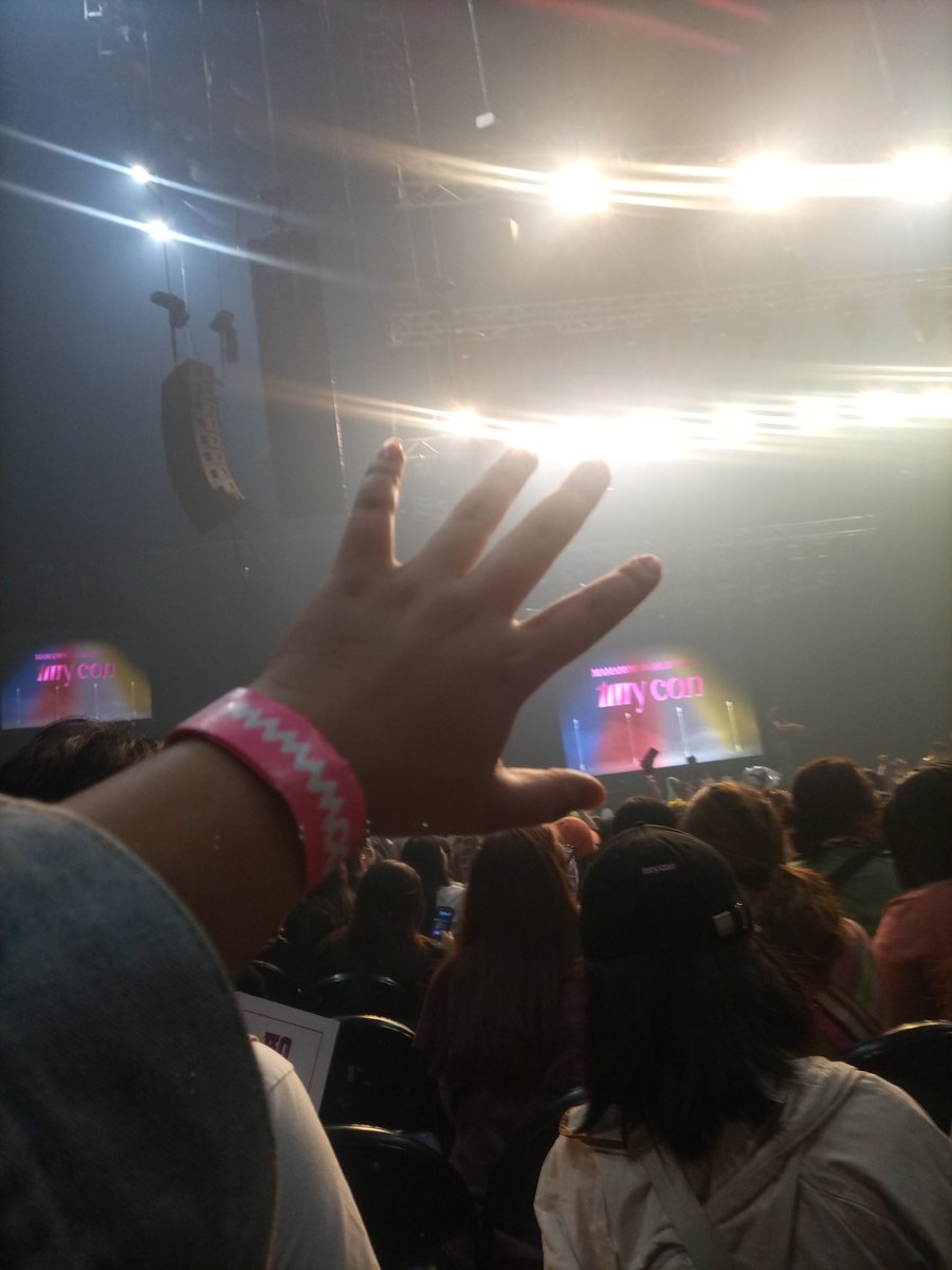 teph ✨ tweet media