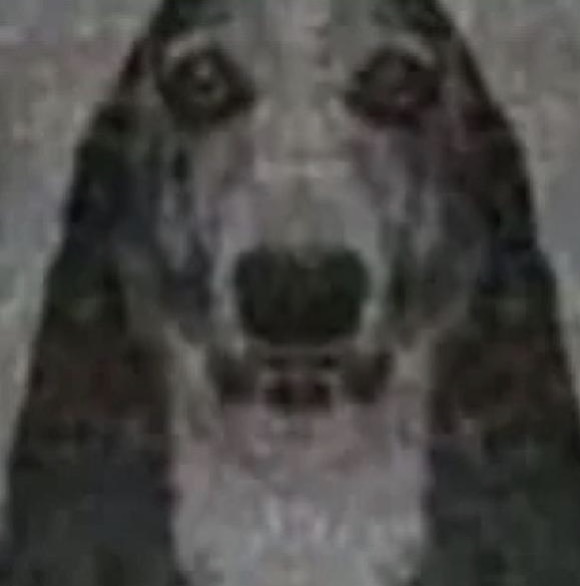 me rapidly googling is Rhianna is pregnant