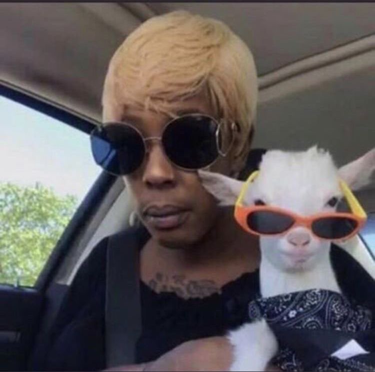 SolanaPublicist's tweet photo. me waiting for the rihanna to show her pregnant belly beyoncé style https://t.co/LN40pvQAGH
